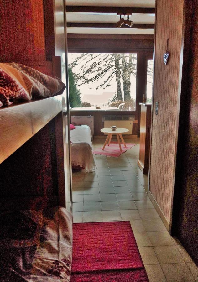 Studio rénové avec jardin et vue dégagée, 4 nuits minimum Saint-Michel-de-Chaillol Extérieur photo